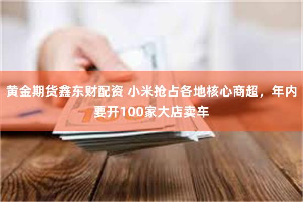 黄金期货鑫东财配资 小米抢占各地核心商超，年内要开100家大店卖车