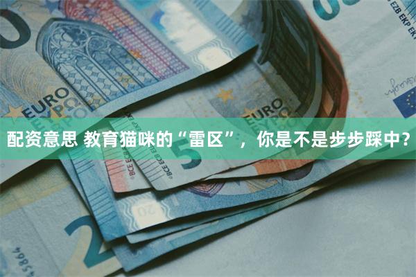 配资意思 教育猫咪的“雷区”，你是不是步步踩中？