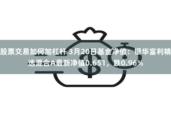 股票交易如何加杠杆 3月20日基金净值：银华富利精选混合A最新净值0.651，跌0.96%