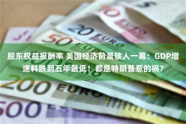 股东权益报酬率 美国经济前景骇人一幕：GDP增速料跌到五年最低！都是特朗普惹的祸？