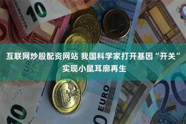 互联网炒股配资网站 我国科学家打开基因“开关” 实现小鼠耳廓再生