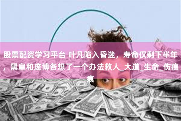 股票配资学习平台 叶凡陷入昏迷，寿命仅剩下半年，黑皇和庞博各想了一个办法救人_大道_生命_伤痕