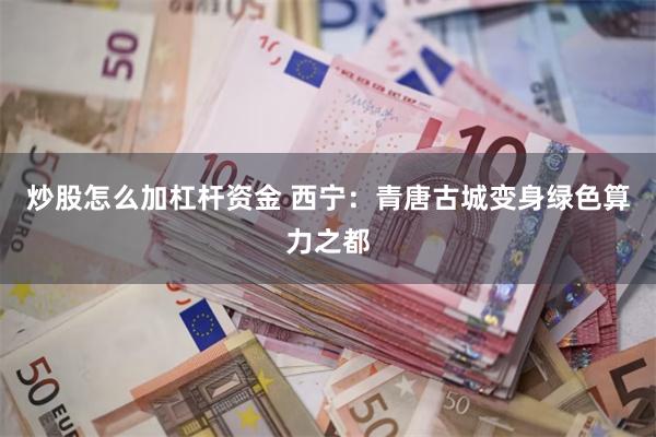 炒股怎么加杠杆资金 西宁：青唐古城变身绿色算力之都