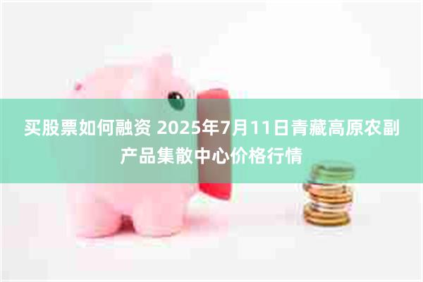 买股票如何融资 2025年7月11日青藏高原农副产品集散中心价格行情