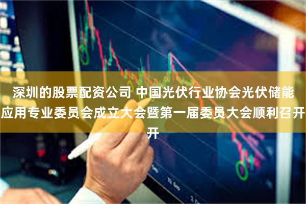 深圳的股票配资公司 中国光伏行业协会光伏储能应用专业委员会成立大会暨第一届委员大会顺利召开