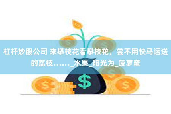 杠杆炒股公司 来攀枝花看攀枝花，尝不用快马运送的荔枝……_水果_阳光为_菠萝蜜