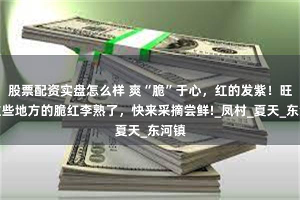 股票配资实盘怎么样 爽“脆”于心，红的发紫！旺苍这些地方的脆红李熟了，快来采摘尝鲜!_凤村_夏天_东河镇