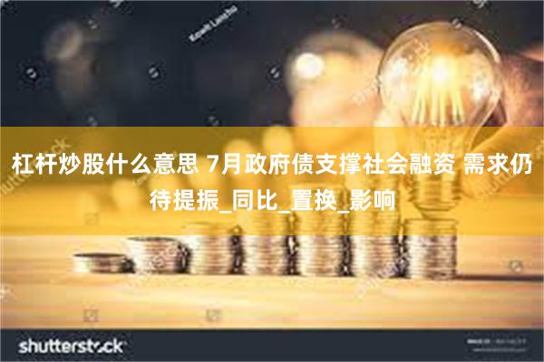 杠杆炒股什么意思 7月政府债支撑社会融资 需求仍待提振_同比_置换_影响