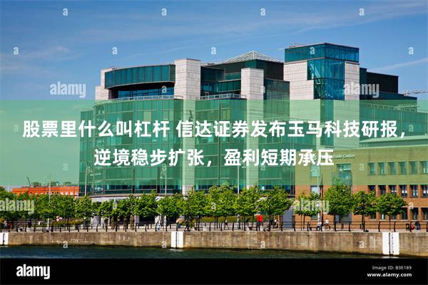 股票里什么叫杠杆 信达证券发布玉马科技研报，逆境稳步扩张，盈利短期承压