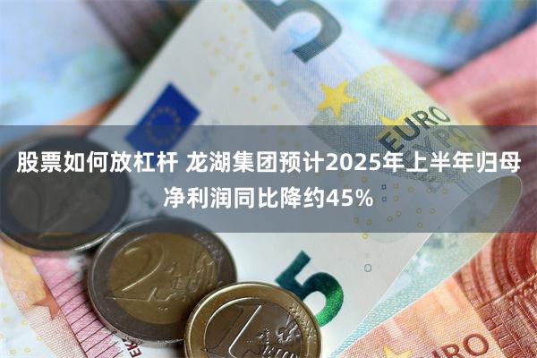 股票如何放杠杆 龙湖集团预计2025年上半年归母净利润同比降约45%