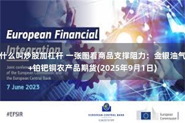 什么叫炒股加杠杆 一张图看商品支撑阻力：金银油气+铂钯铜农产品期货(2025年9月1日)