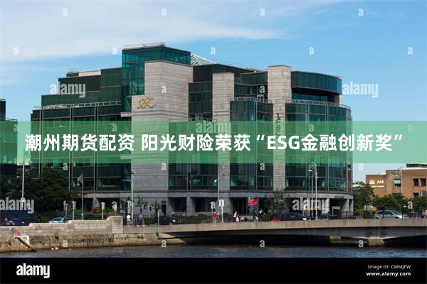 潮州期货配资 阳光财险荣获“ESG金融创新奖”
